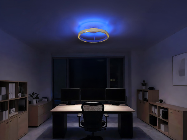 LINIA Deckenleuchte 660 - 10010 2