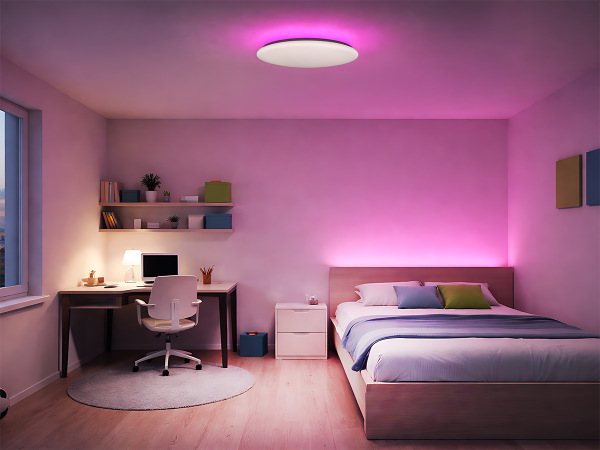 LINIA Deckenleuchte 499 - 10015 2