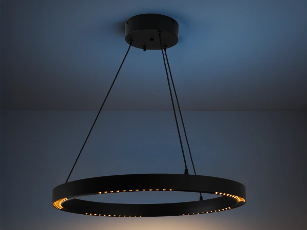 LINIA Pendelleuchte 660 - 10012 4