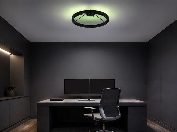 LINIA Deckenleuchte 660 - 10007 2