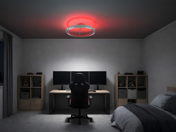 LINIA Deckenleuchte 660 - 10009 2